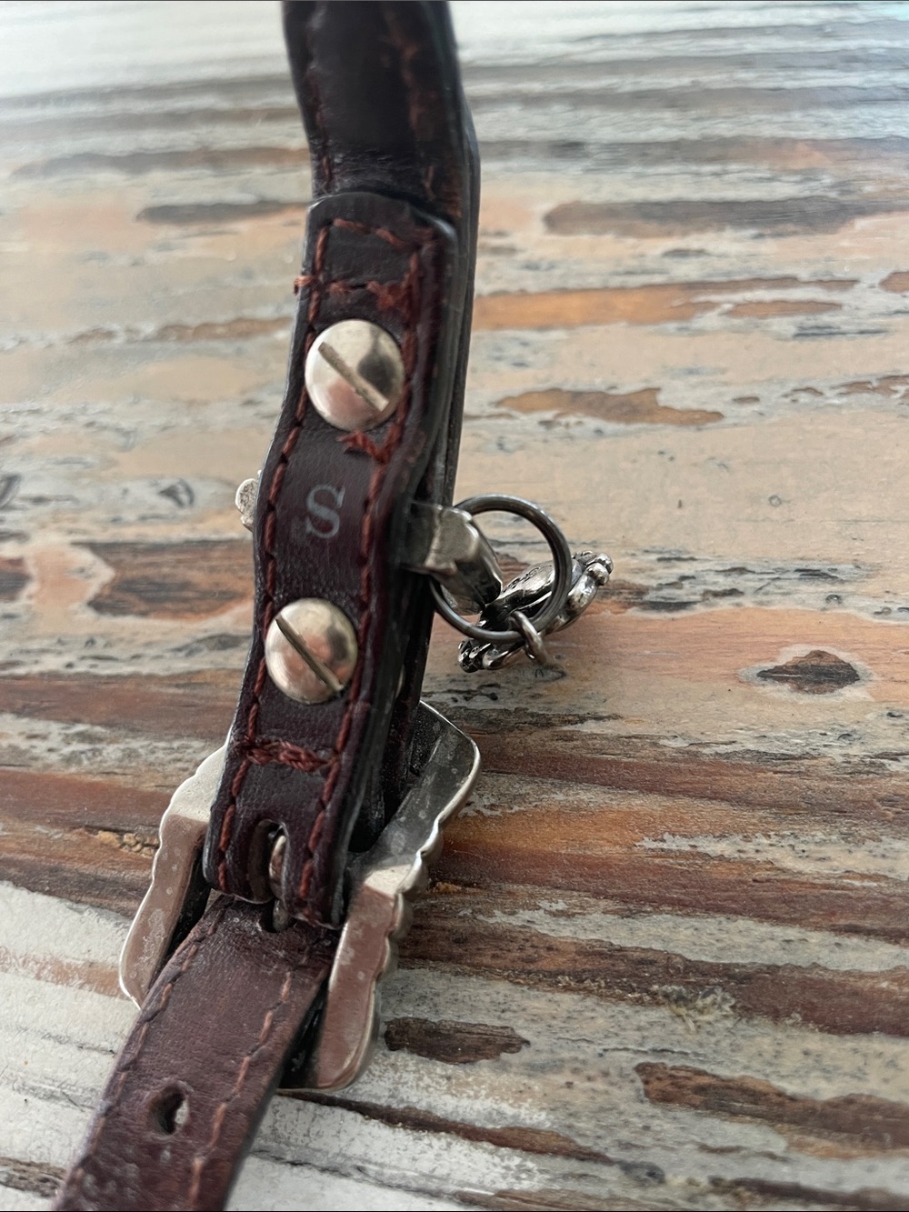 Brighton Dog Collar - Size Small - Picture 4 of 8